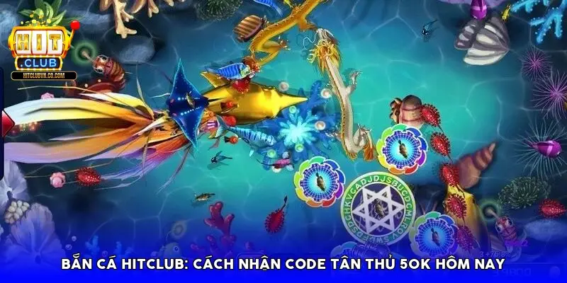 Bắn cá Hitclub: Cách nhận Code tân thủ 50k hôm nay
