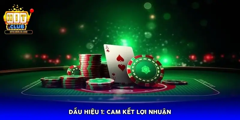Dấu hiệu 1: Cam kết lợi nhuận