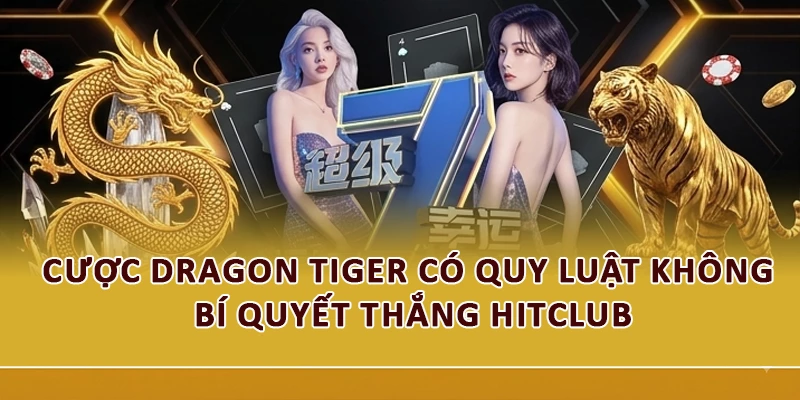 Cược Dragon Tiger Có Quy Luật Không, Bí Quyết Thắng Hitclub