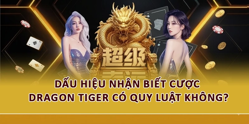 Dấu hiệu nhận biết cược Dragon Tiger có quy luật không?