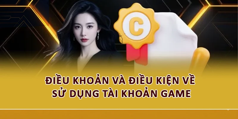 Điều khoản và điều kiện về sử dụng tài khoản game