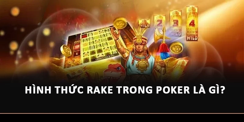 Hình thức rake trong Poker là gì?