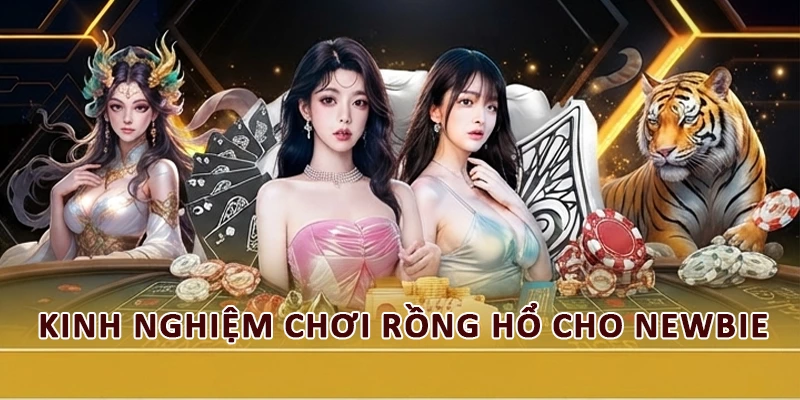 Kinh nghiệm chơi Rồng Hổ cho newbie