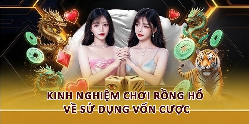 Kinh nghiệm chơi Rồng Hổ về sử dụng vốn cược