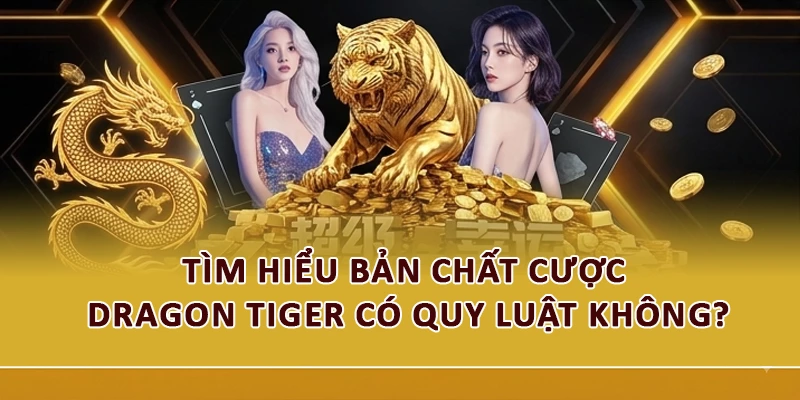 Tìm hiểu bản chất cược Dragon Tiger có quy luật không?